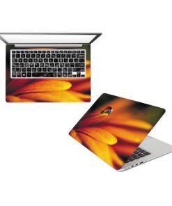 Multi-design Vinyl Laptop Sticker - Multicolour
