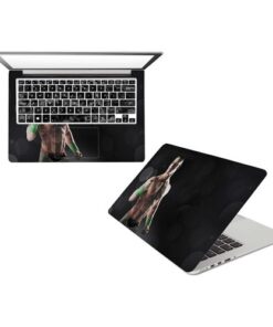 Multi-design Vinyl Laptop Sticker - Multicolour
